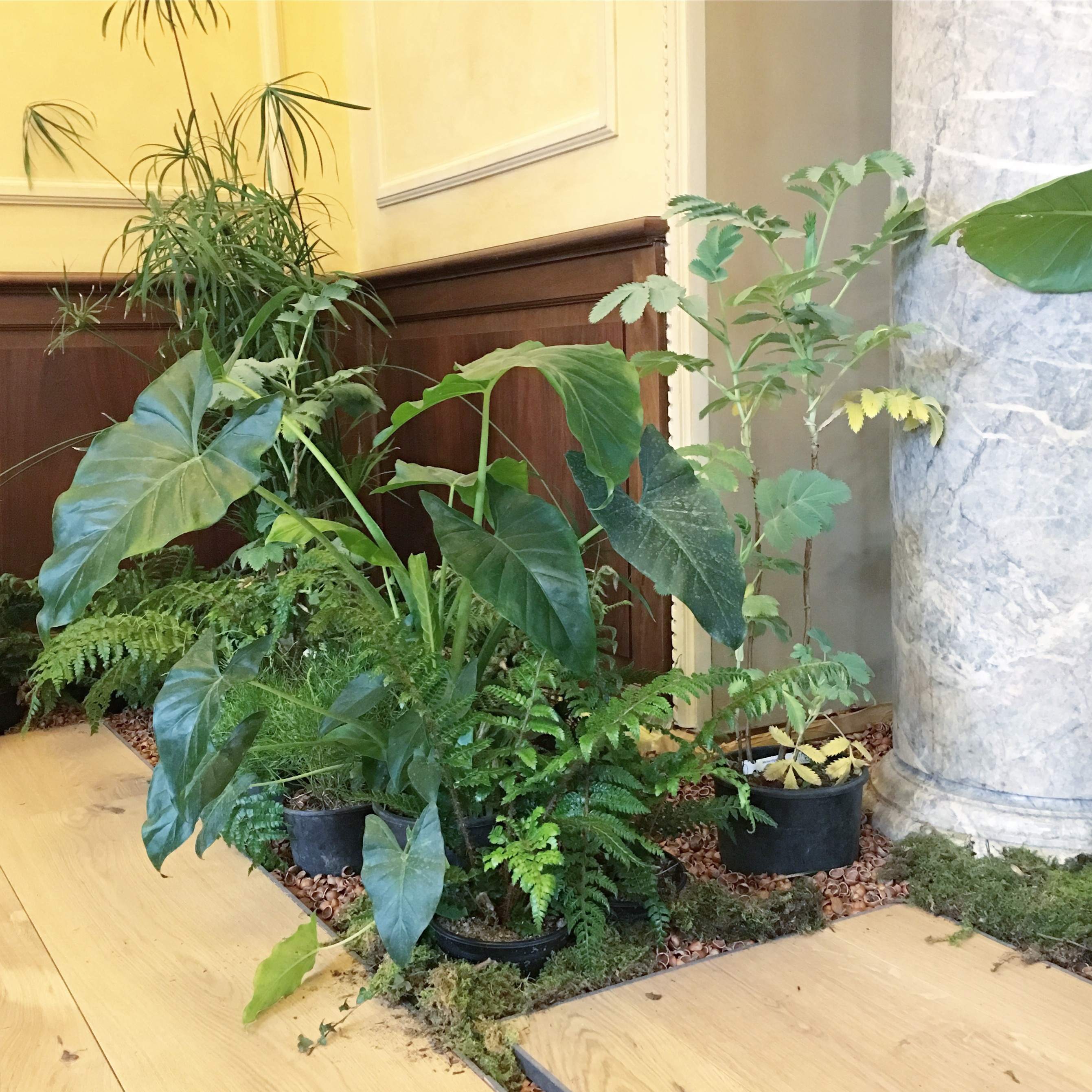 Trendbulletin 14 Milan ELLE Decoration UK