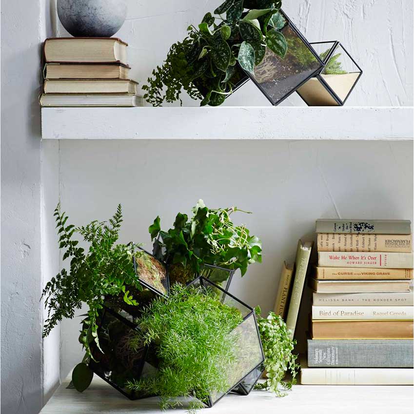 How to do terrariums ELLE Decoration UK